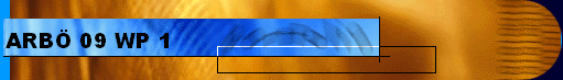 ARB 09 WP 1