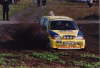 Semperitrallye 1999